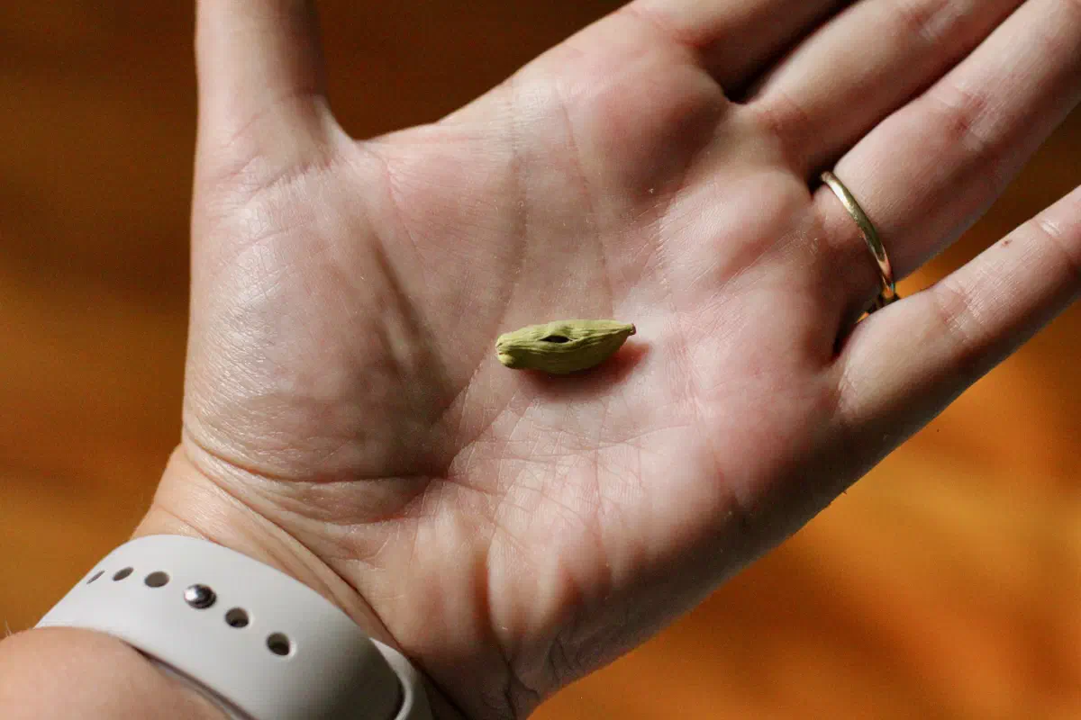 cardamom pod